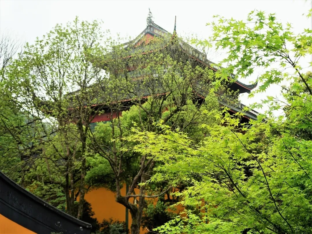 观点 | 保护环境——克服欲望与贪婪 (下)