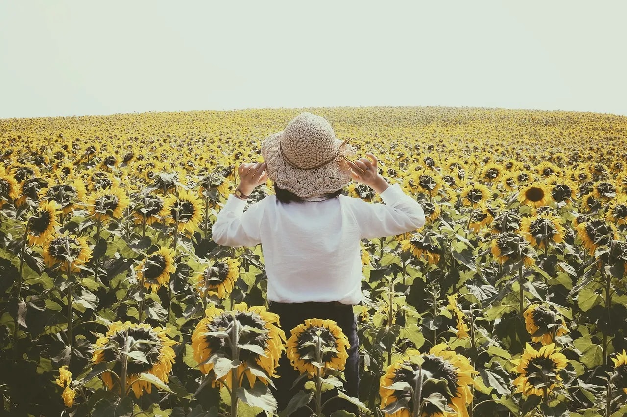 生活中都是不如意的事怎样解决？