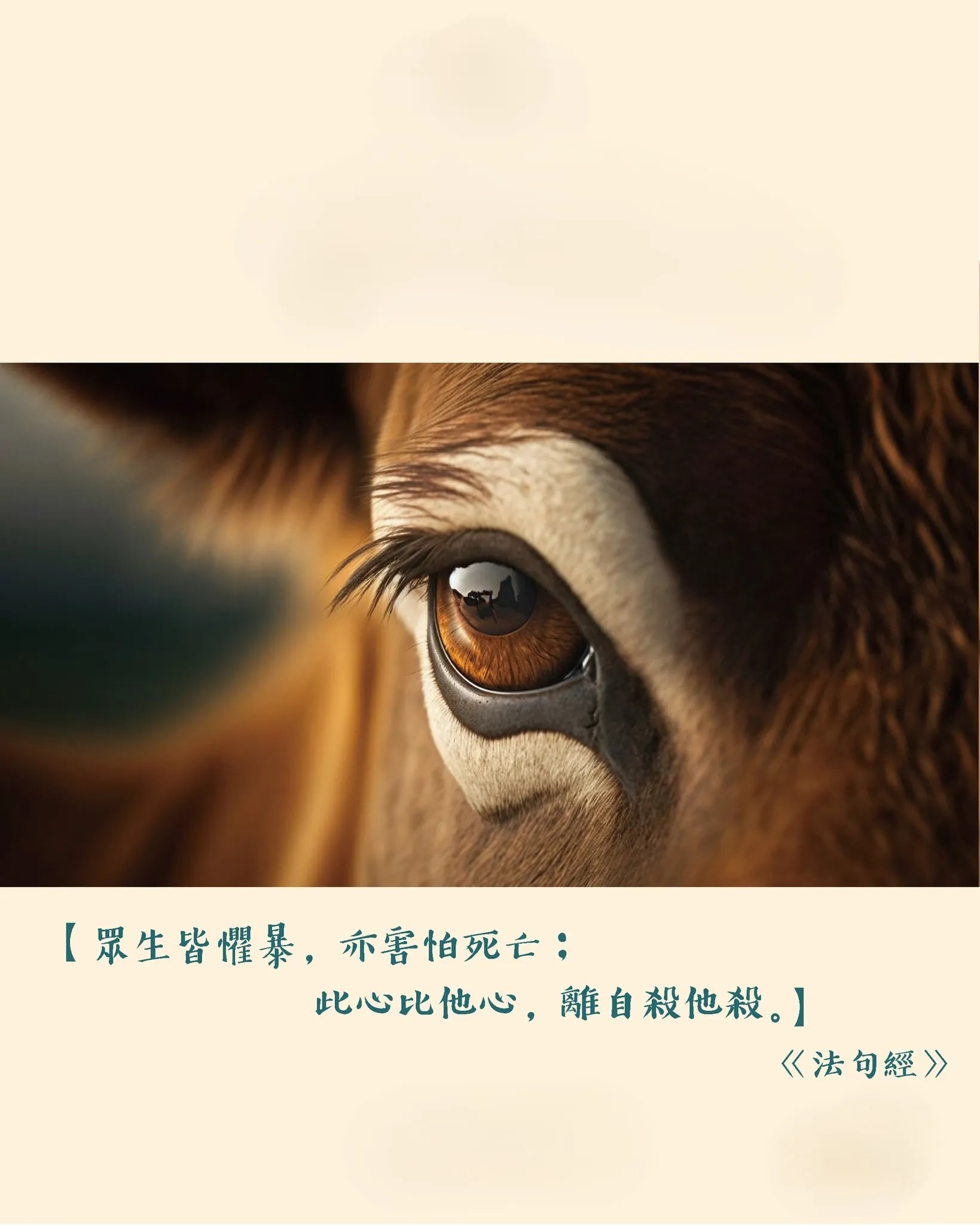 佛教不杀生戒律的起源是甚么？