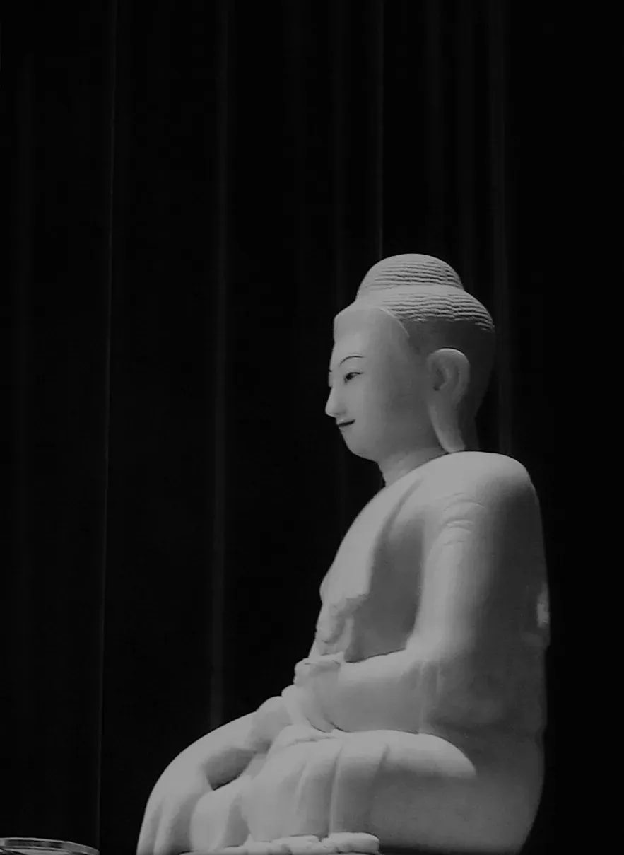 佛陀為何能以慈心對待想要傷害自己的提婆達多？