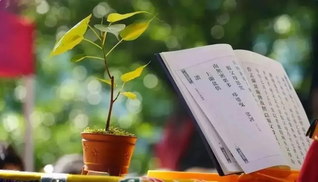 在生活中修行 在修行中生活