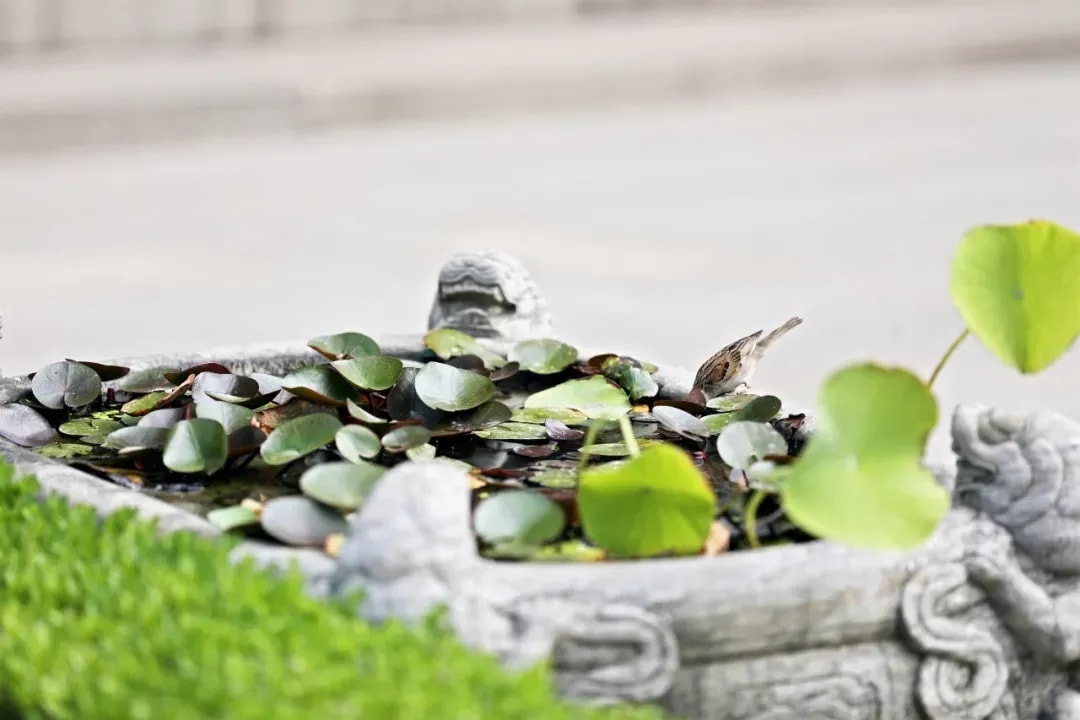 戒律到底是不是一種束縛？