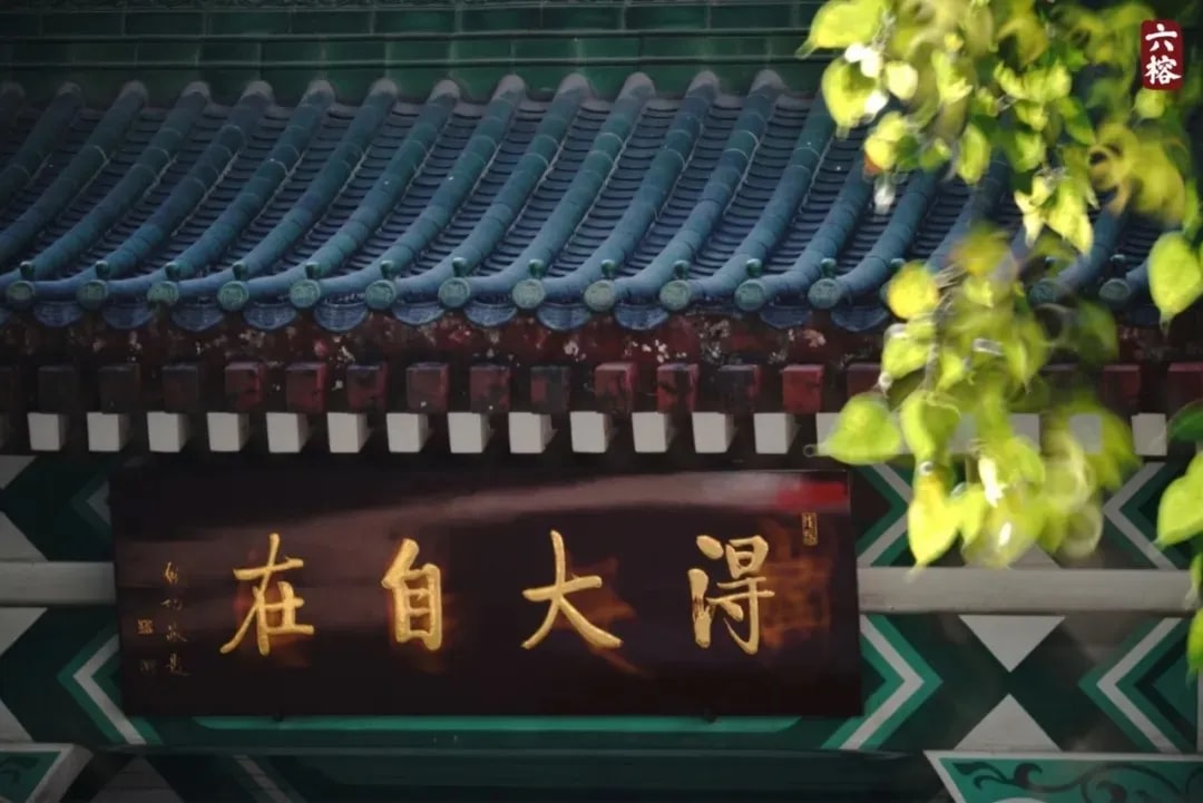 听师父说：怎样是无分别的布施