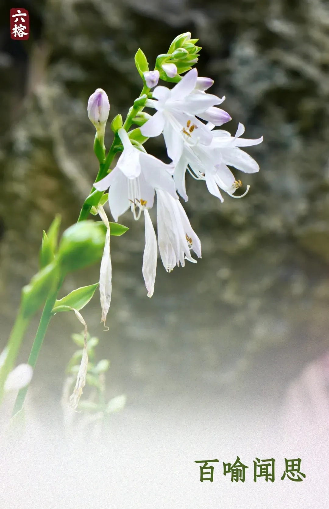 是追逐虛妄 還是接受當下