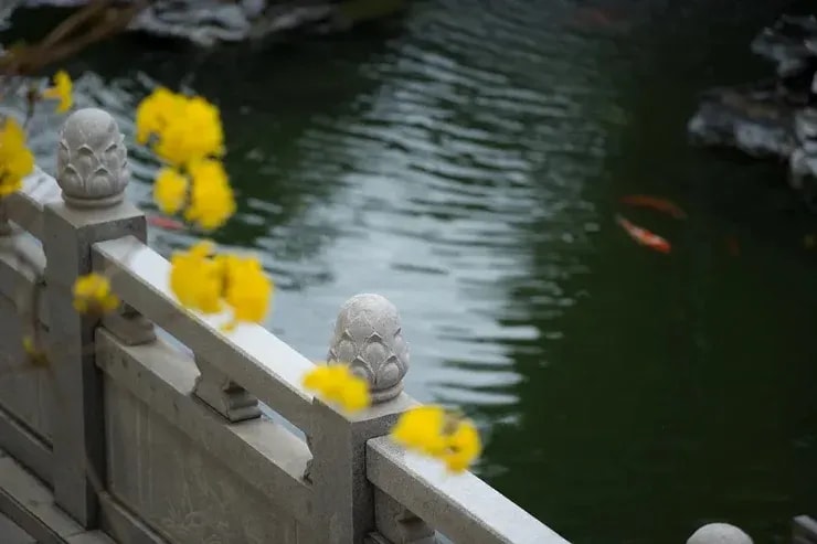 定慧難等持 是修行的常態