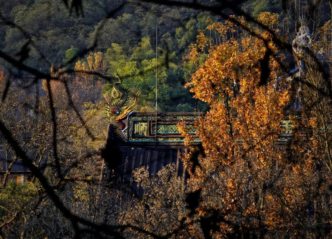 佛陀为何能以慈心对待想要伤害自己的提婆达多？