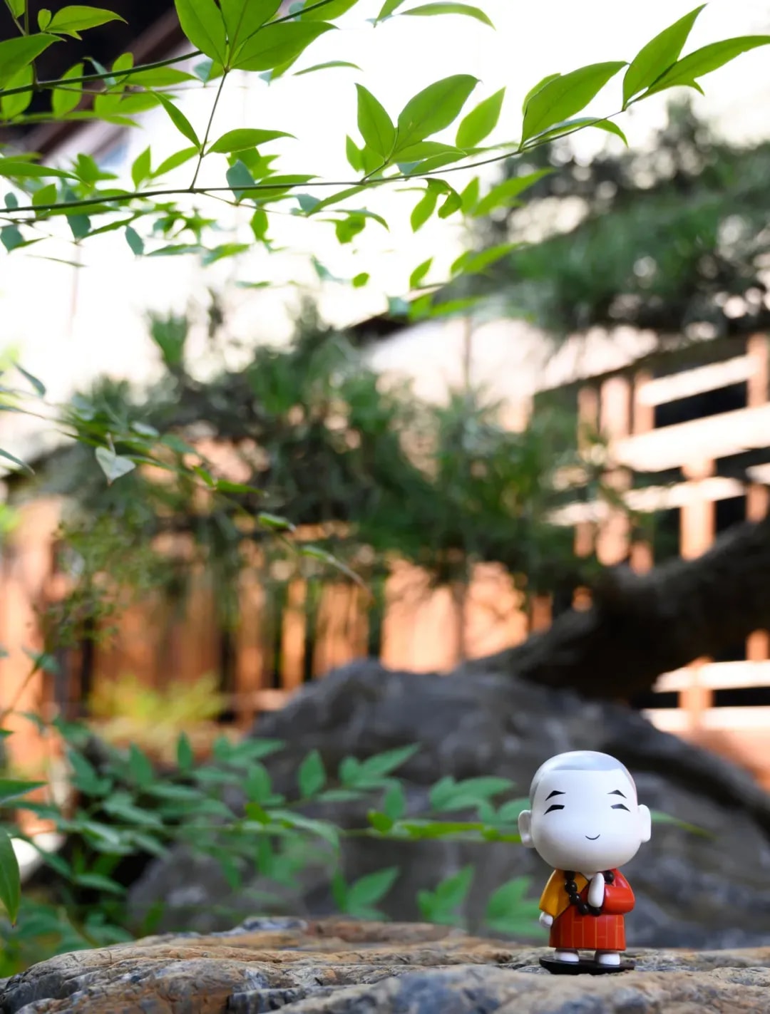 随佛草木生 那些与佛陀结缘的植物