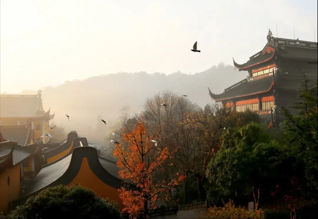 拘那羅王子的不幸