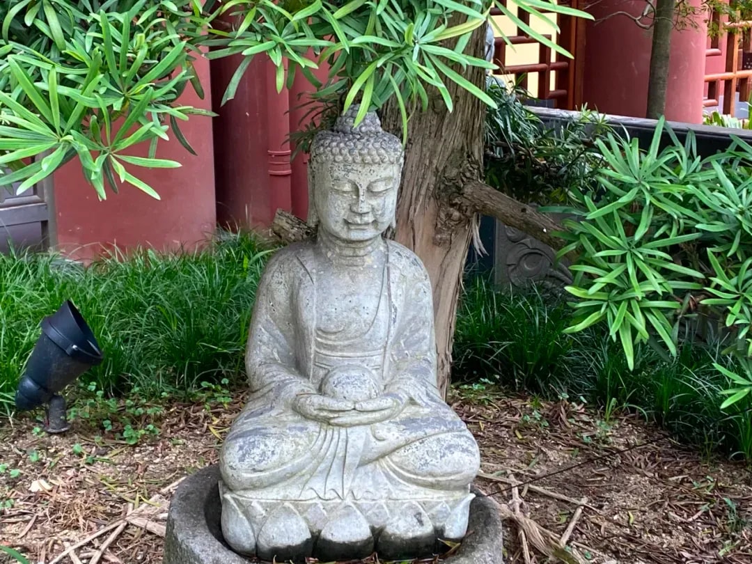 修来的才是福 争来的都是祸