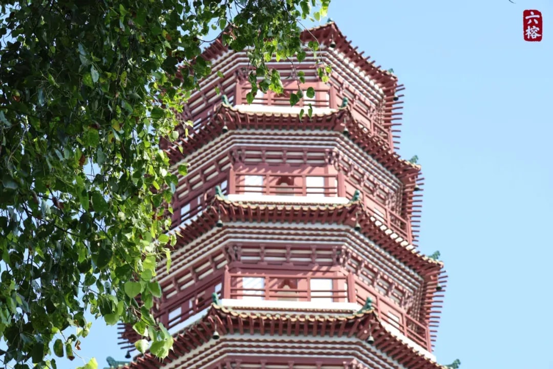 听师父说：学习佛法应该怎样提问？怎样讨论？