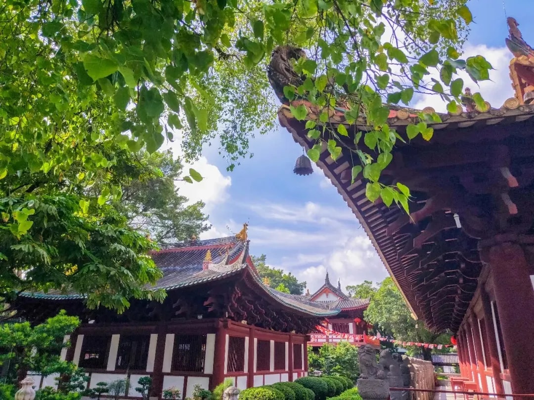 佛法四種層次的「信」