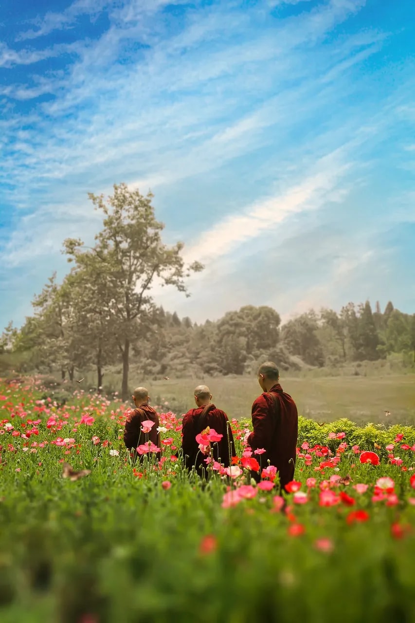 佛法中善恶的标准