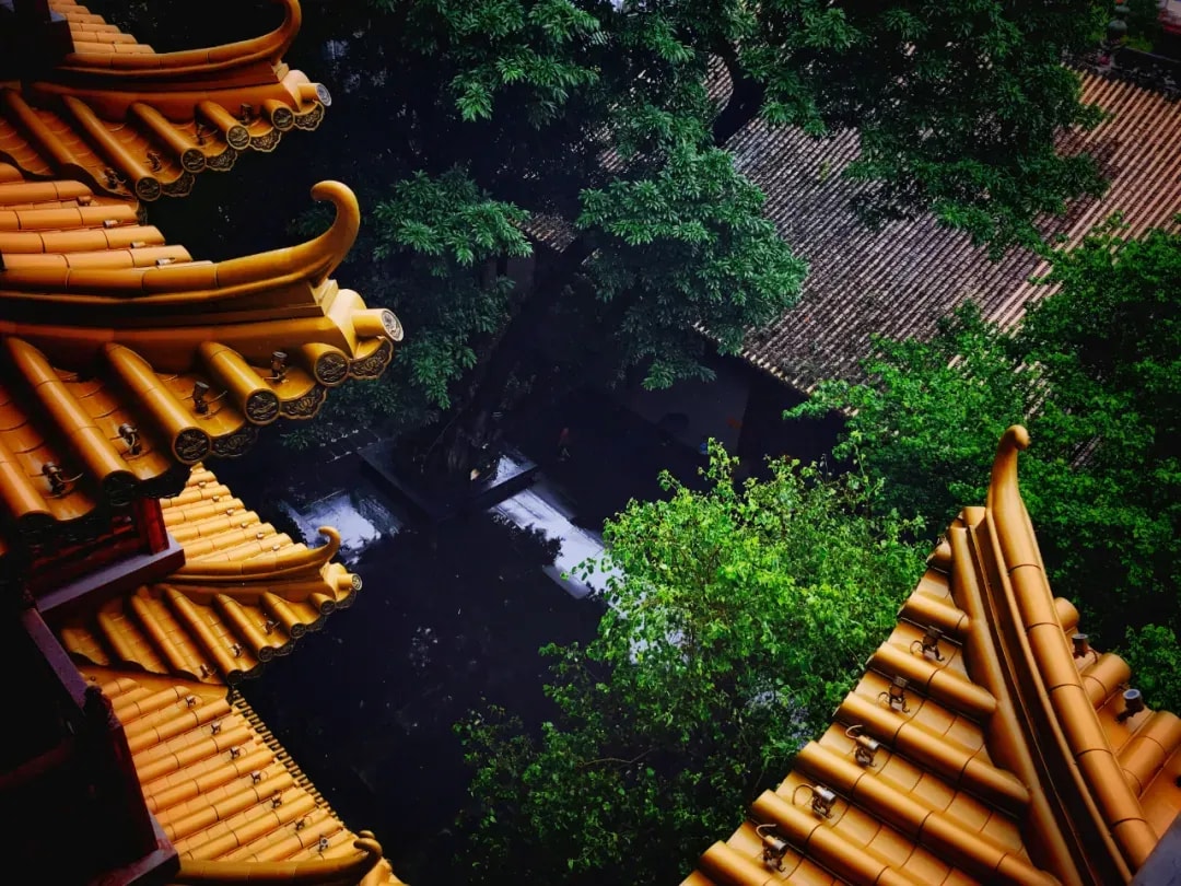 赵州禅师的待客之道