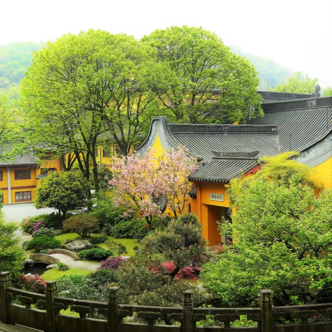 观点 | 保护环境——克服欲望与贪婪(上)