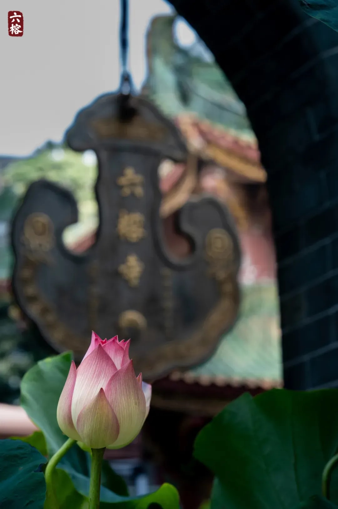 孝為戒先 知恩報恩 佛門的孝親觀