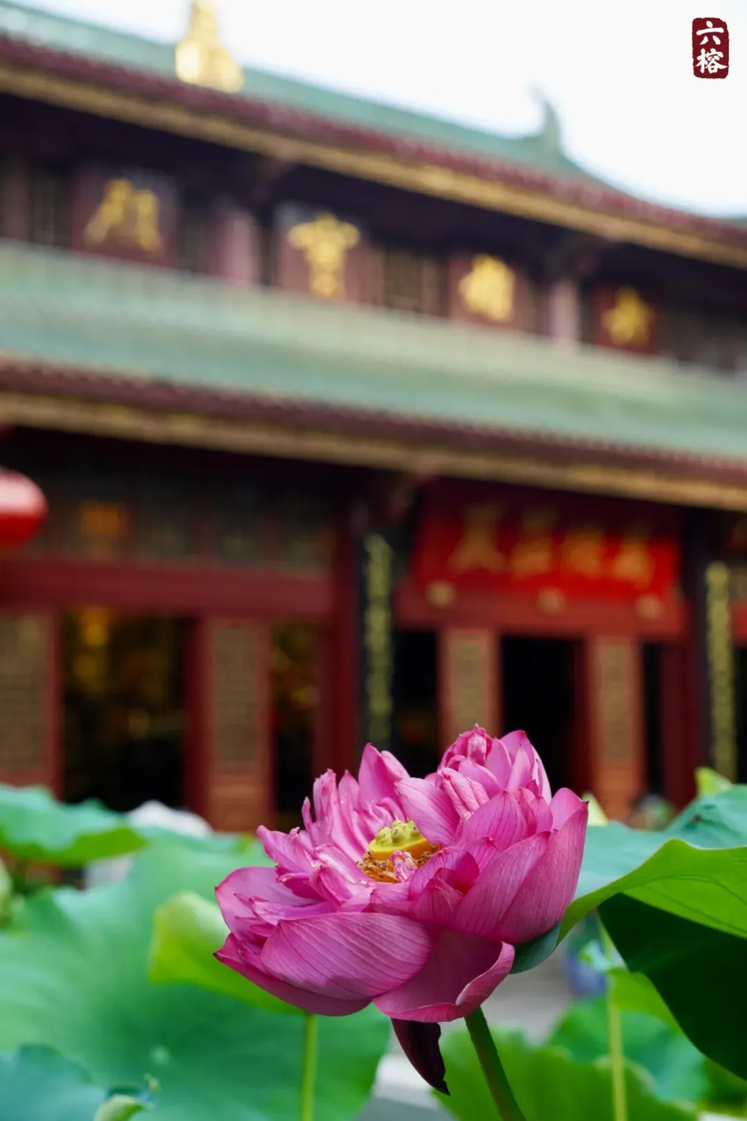 《華嚴經》中的十種善知識