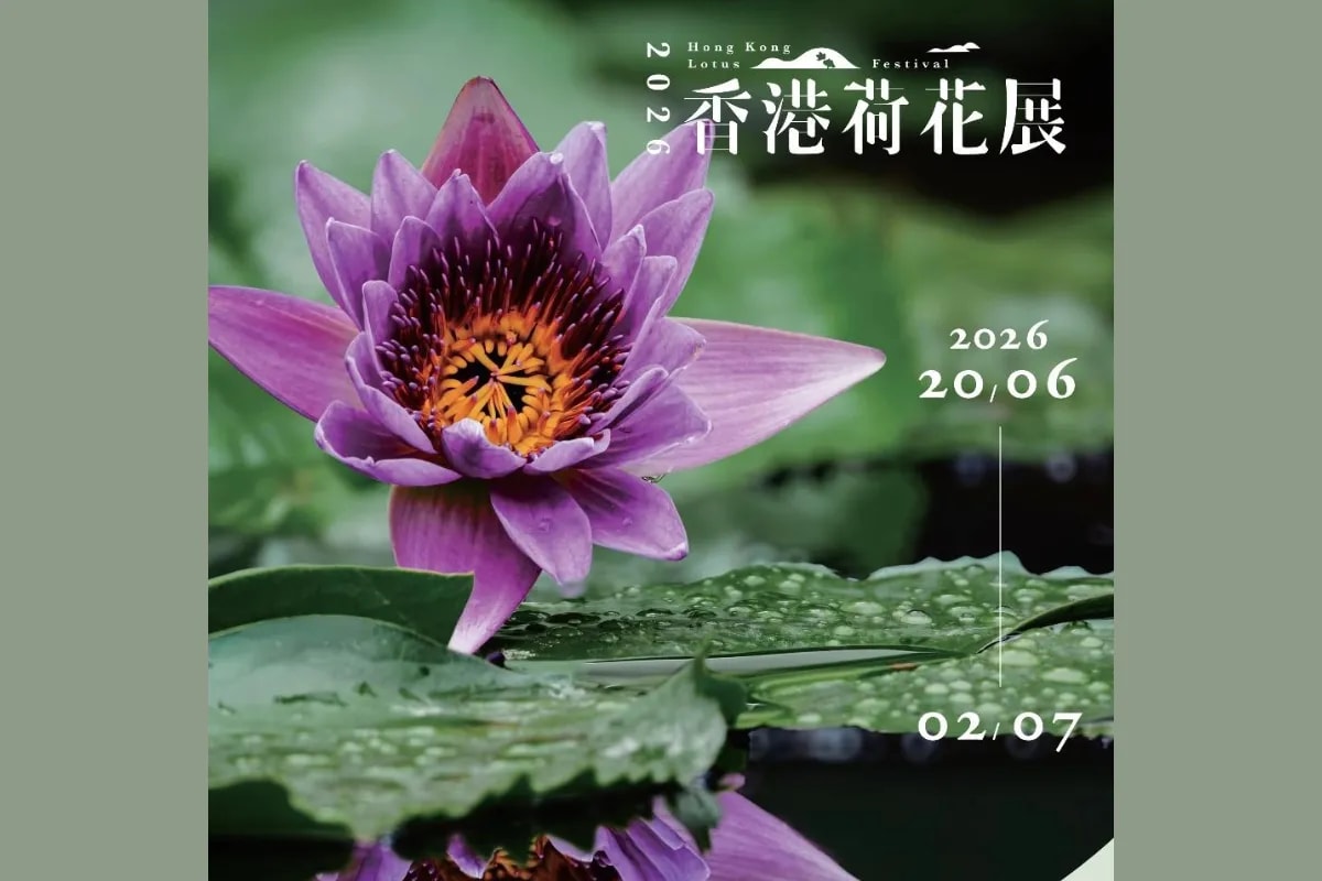 香港荷花展 2026