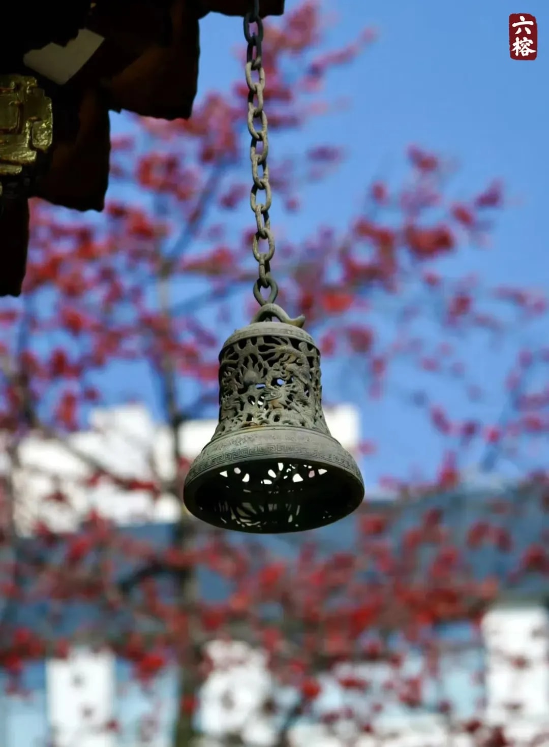 百喻闻思 | 无明生邪见