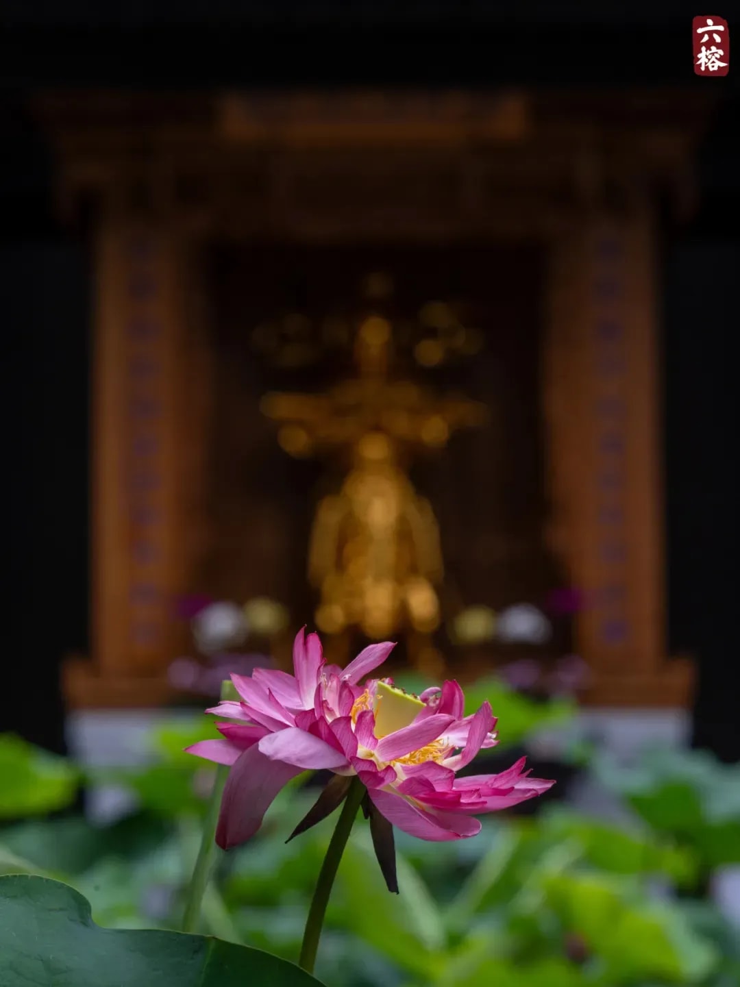 我們常說習氣障礙修行 那麼「習氣」到底是甚麼呢?