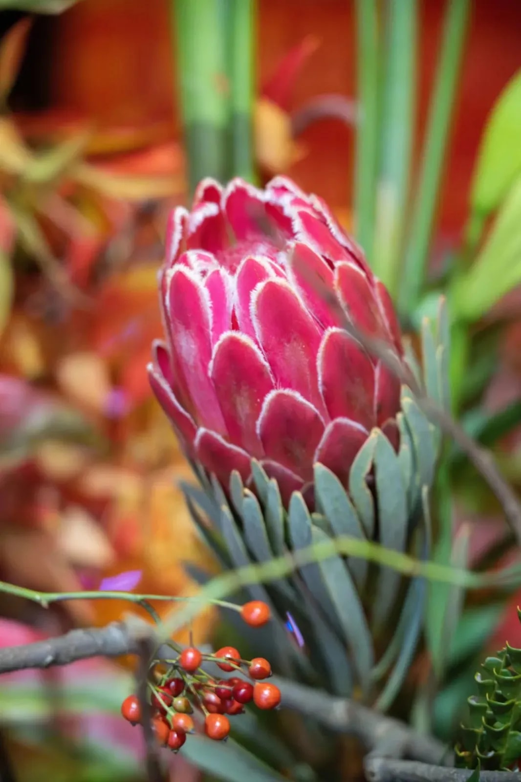 竹窗故事丨《竹窗随笔》花香